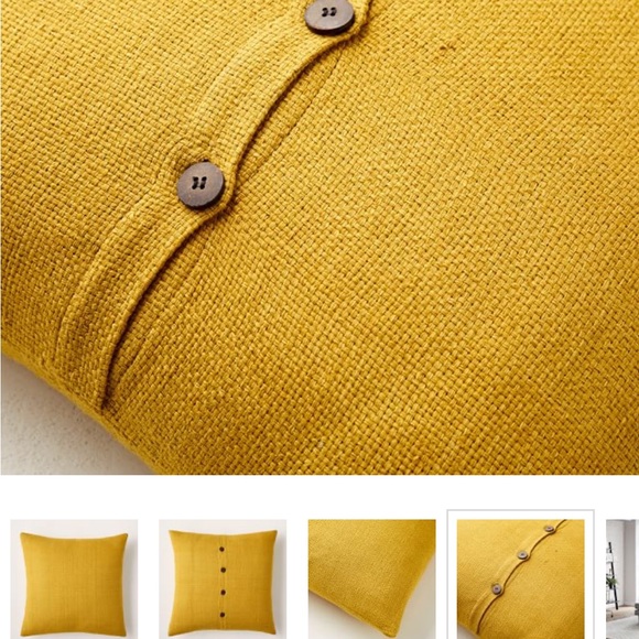 West Elm silk Handloomed Pillow Cover (set of 2) - Picture 7 of 7